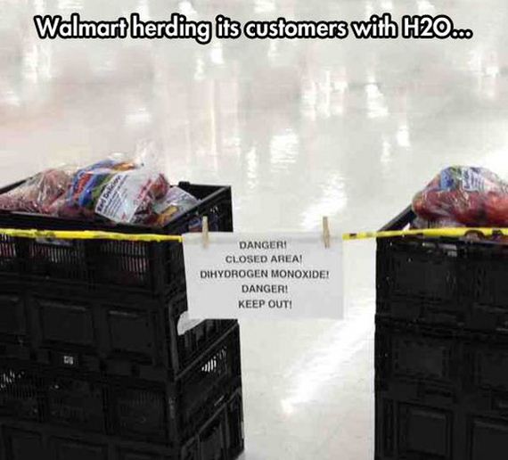 funny-pictures-646