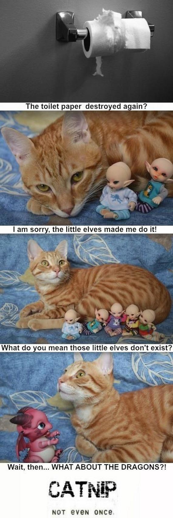 funny-pictures-647
