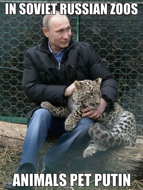 funny-pictures-647