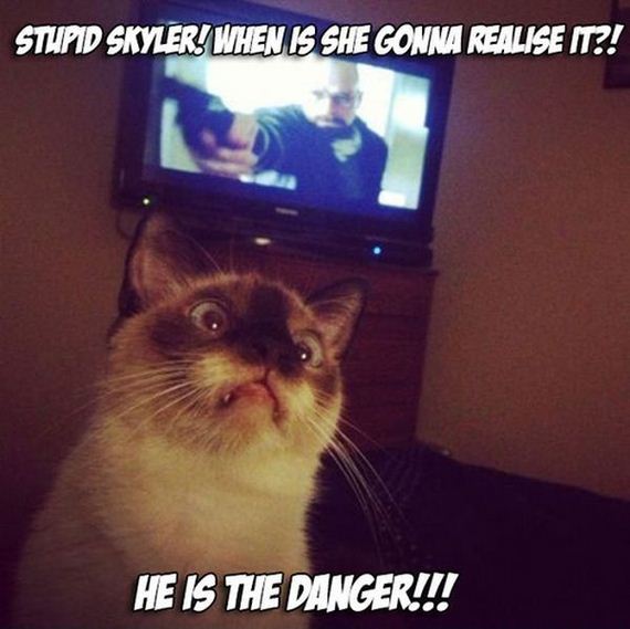 funny-pictures-647