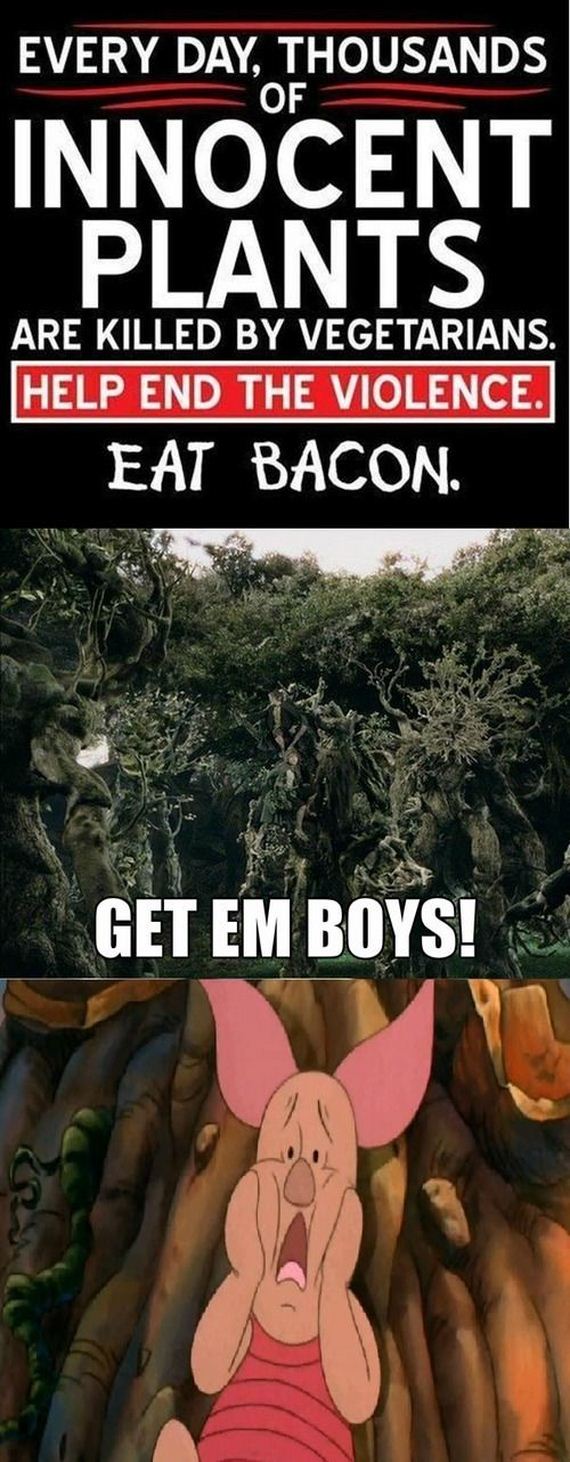 funny-pictures-647