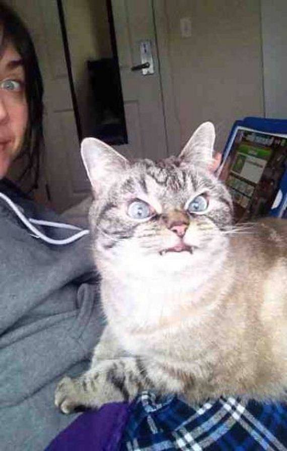 funny-pictures-647