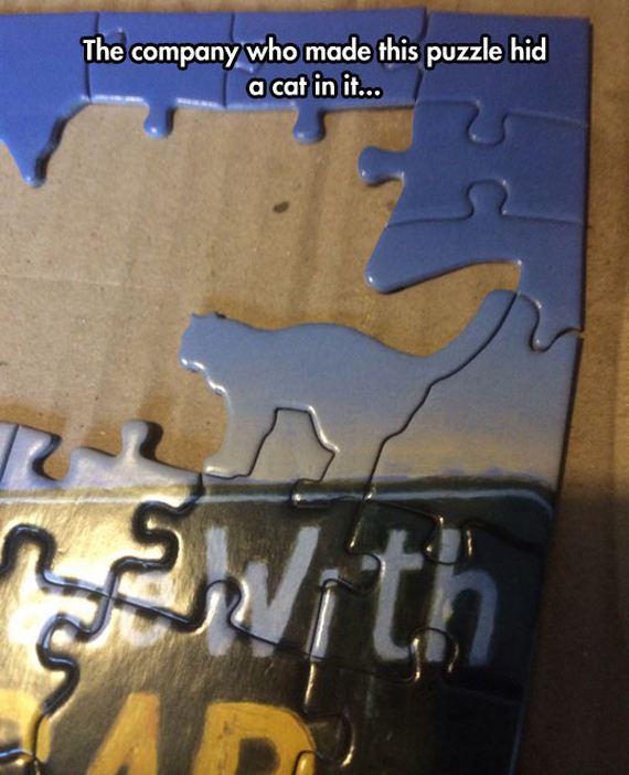 funny-pictures-648