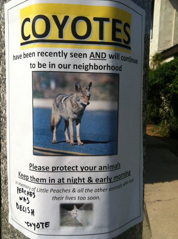 funny-pictures-648