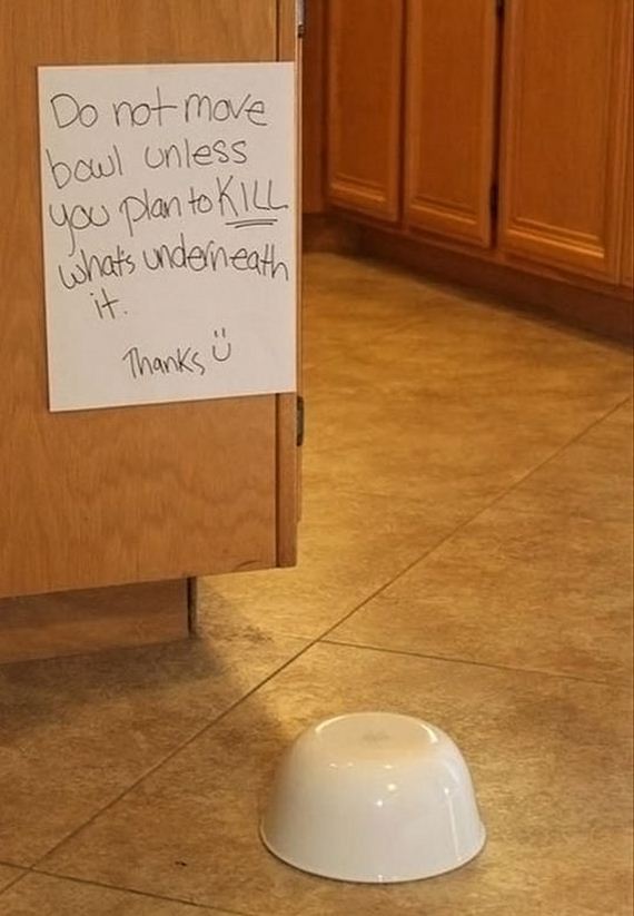 funny-pictures-649