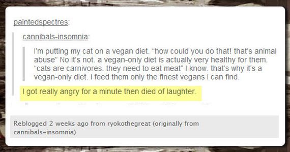 funny-pictures-649