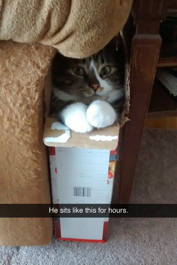 funny-pictures-649