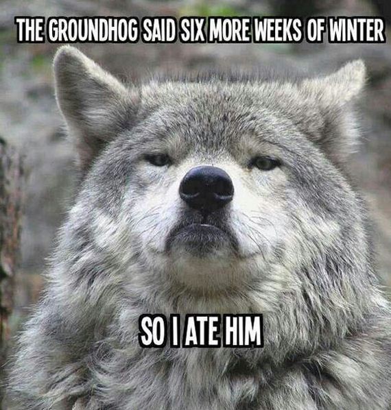funny-pictures-649