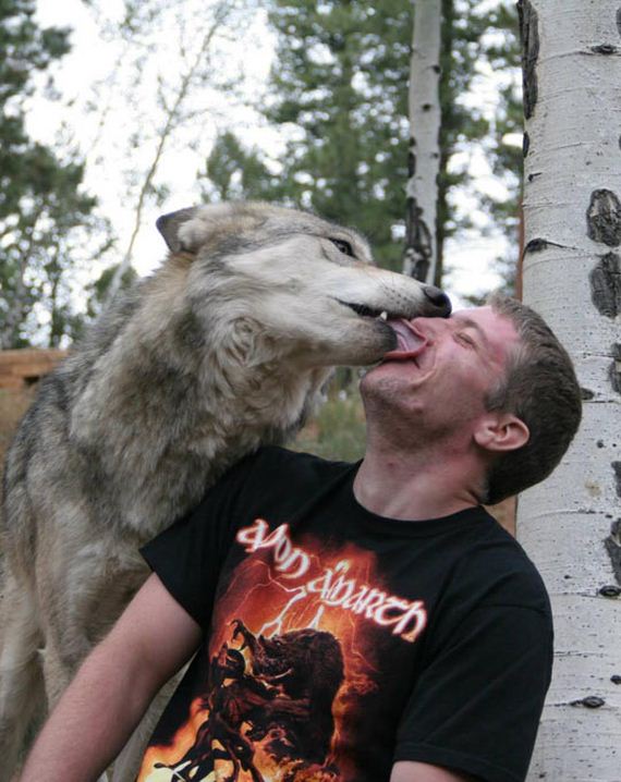 funny-pictures-649