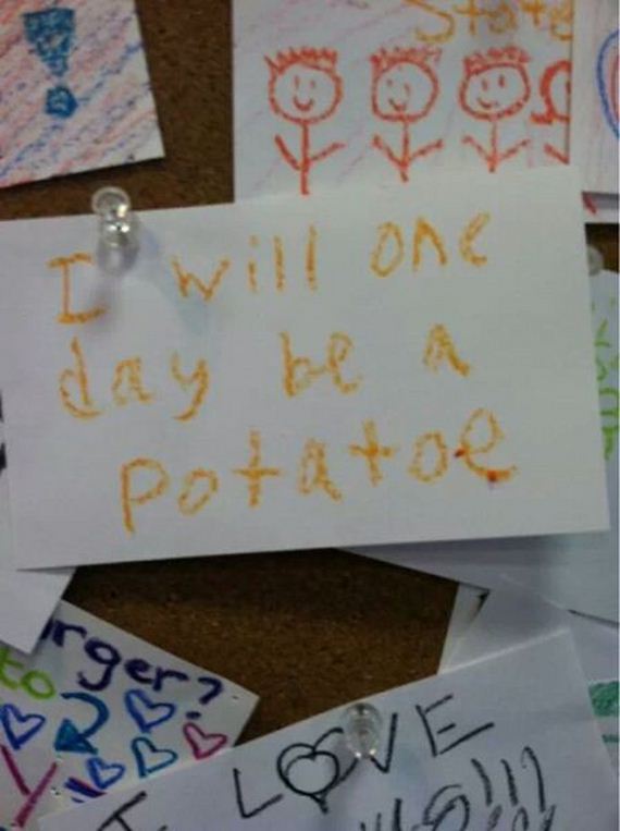 funny-pictures-650