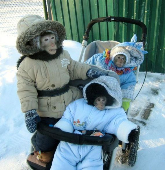 funny-pictures-650