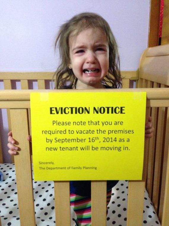 funny-pictures-650