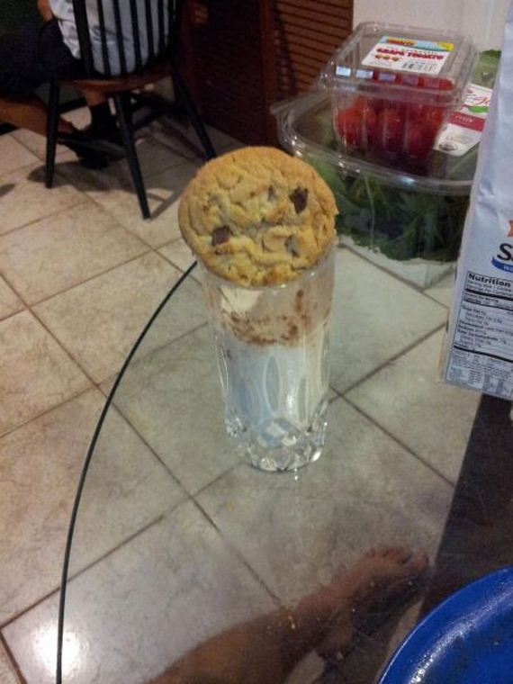 funny-pictures-650