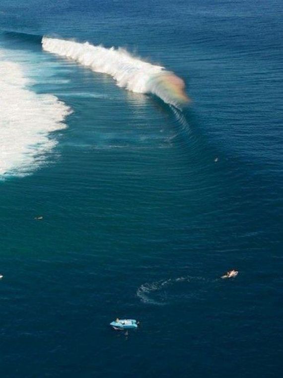 funny-pictures-651