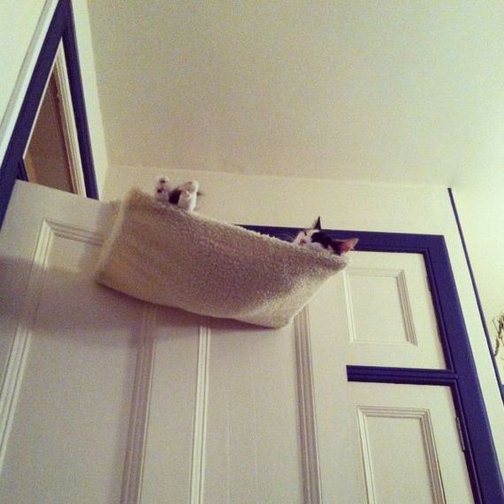 funny-pictures-653