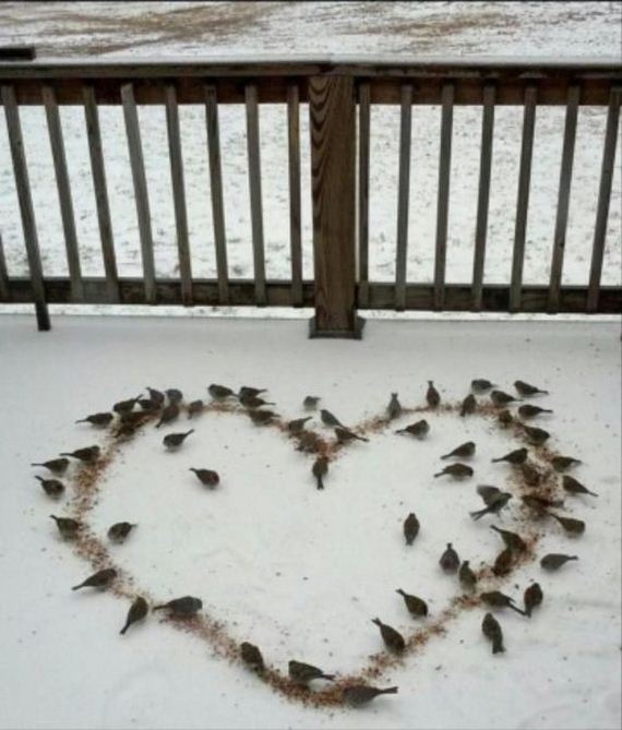 funny-pictures-653