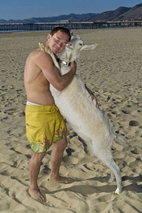 funny-pictures-653