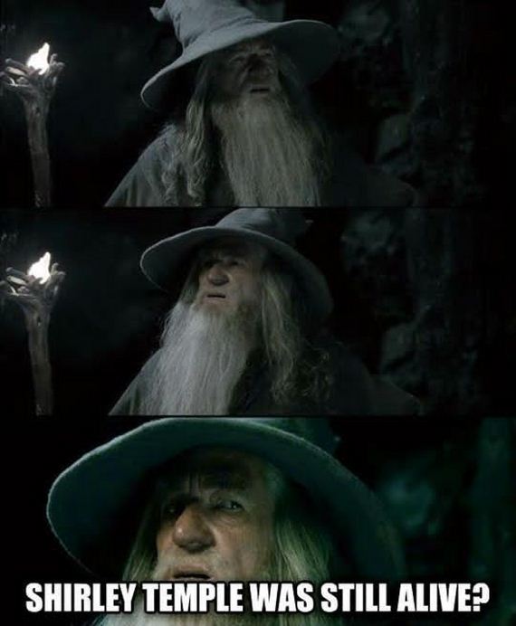 funny-pictures-654