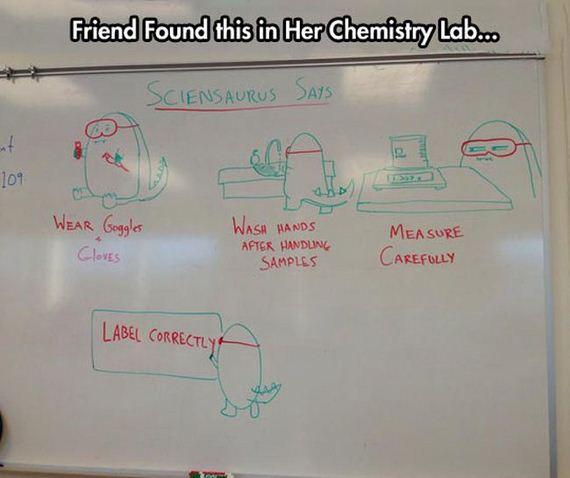 funny-pictures-654