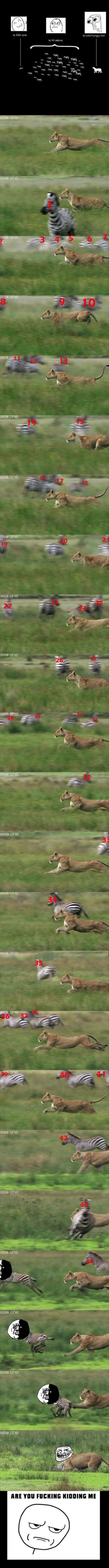 funny-pictures-654