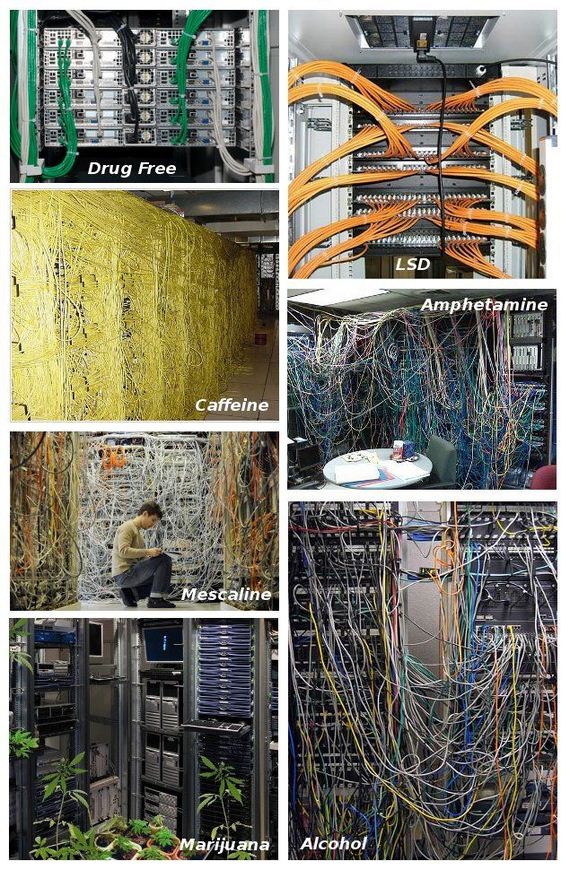 funny-pictures-654