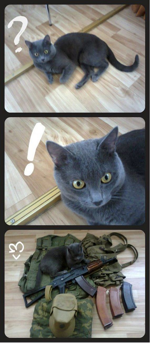 funny-pictures-655