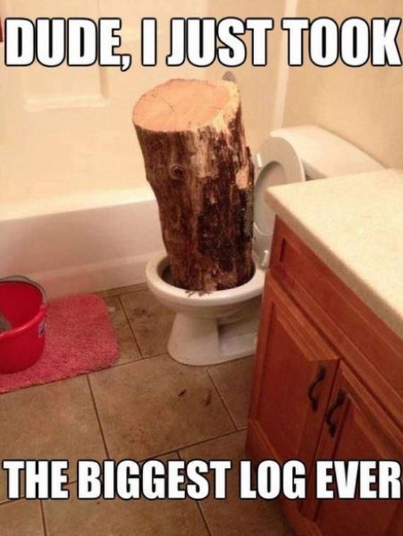 funny-pictures-655