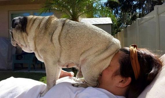 funny-pictures-655