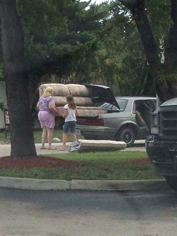 funny-pictures-656