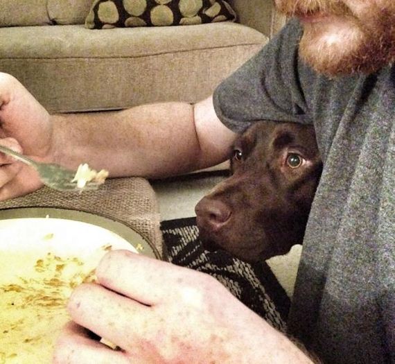 funny-pictures-656