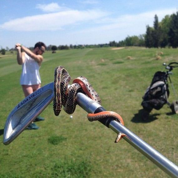 funny-pictures-656