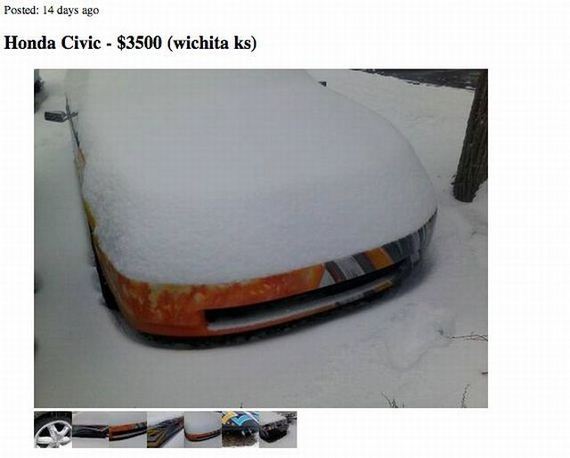 funny-pictures-656
