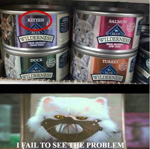 funny-pictures-656