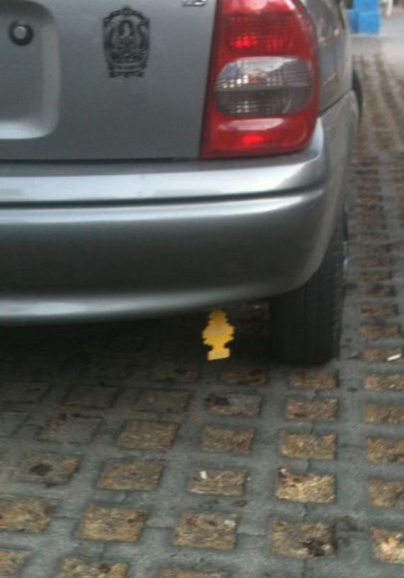 funny-pictures-657