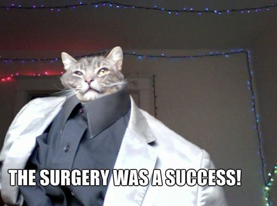 funny-pictures-657