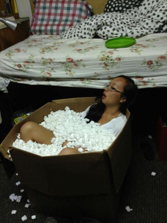 funny-pictures-659