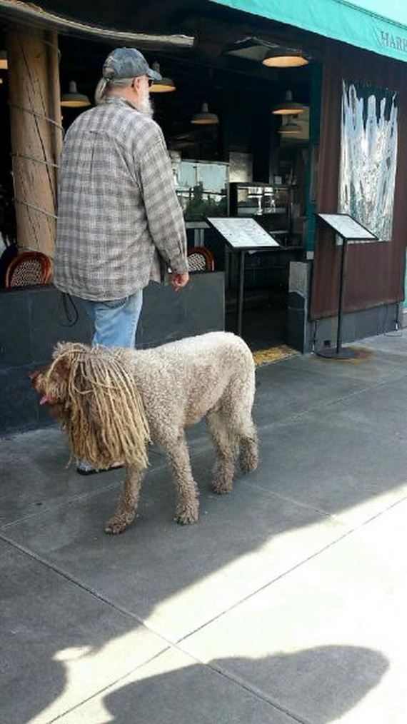 funny-pictures-659