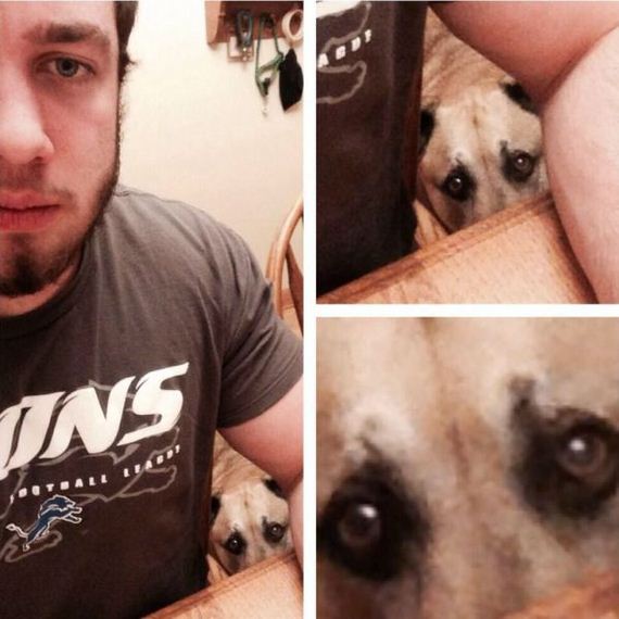 funny-pictures-659