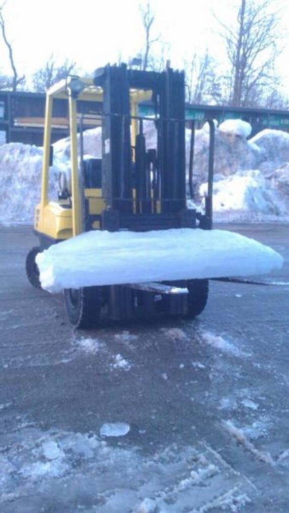 funny-pictures-659