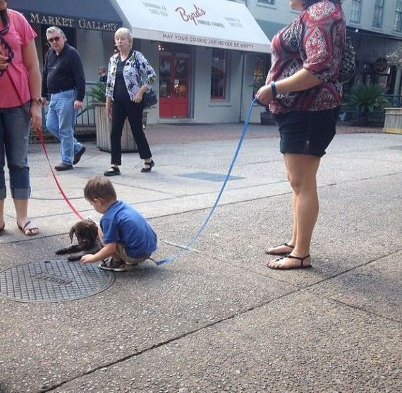 funny-pictures-661