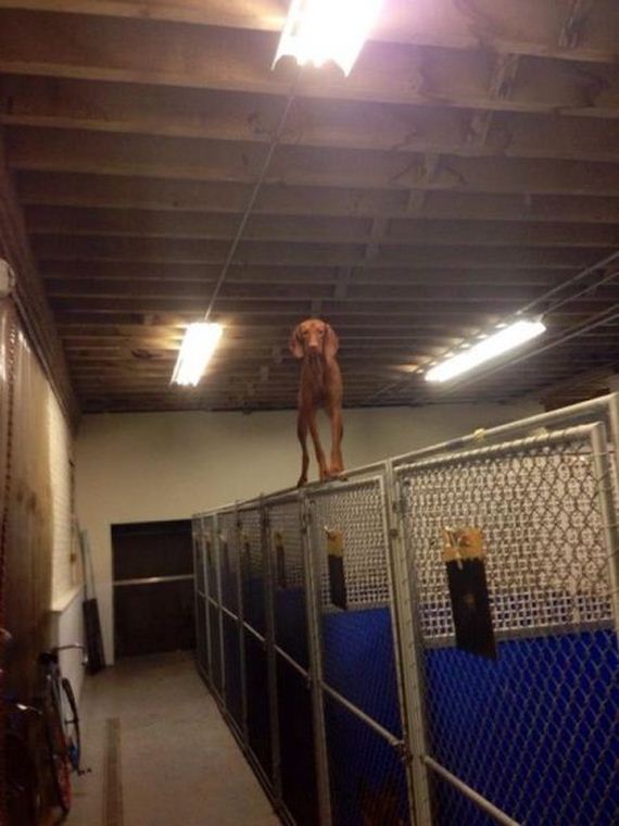 funny-pictures-661