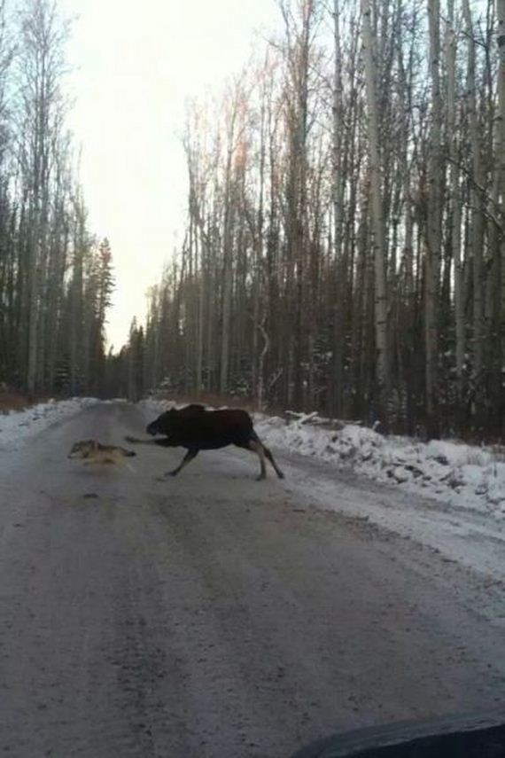 funny-pictures-661