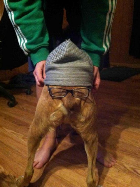 funny-pictures-661