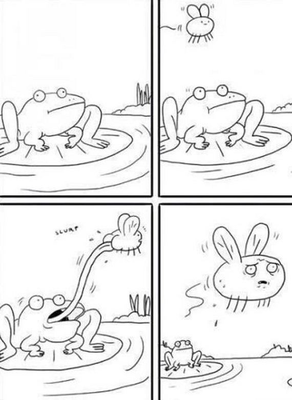funny-pictures-661