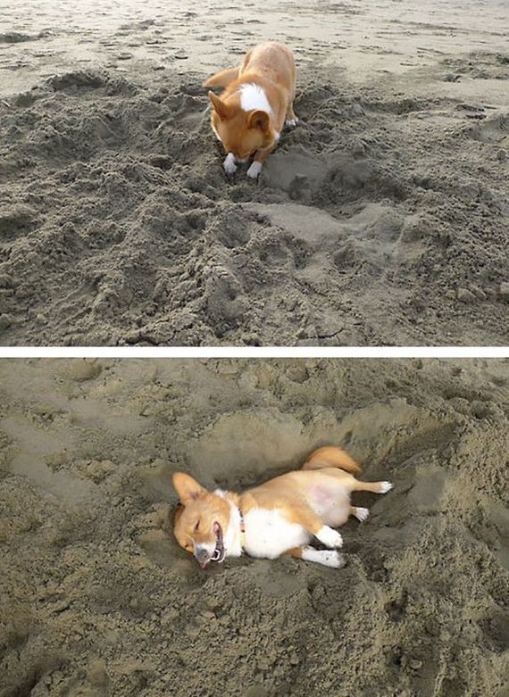 funny-pictures-662