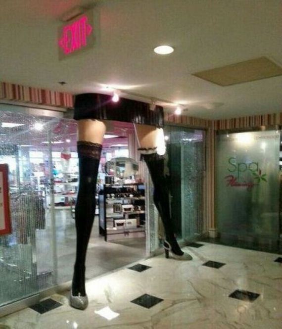 funny-pictures-662
