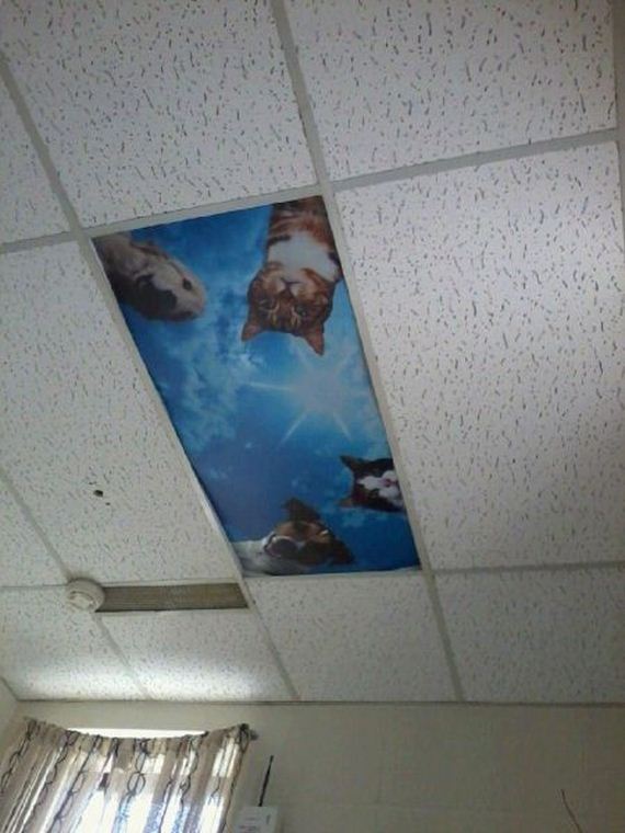 funny-pictures-662
