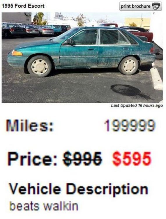 funny-pictures-662