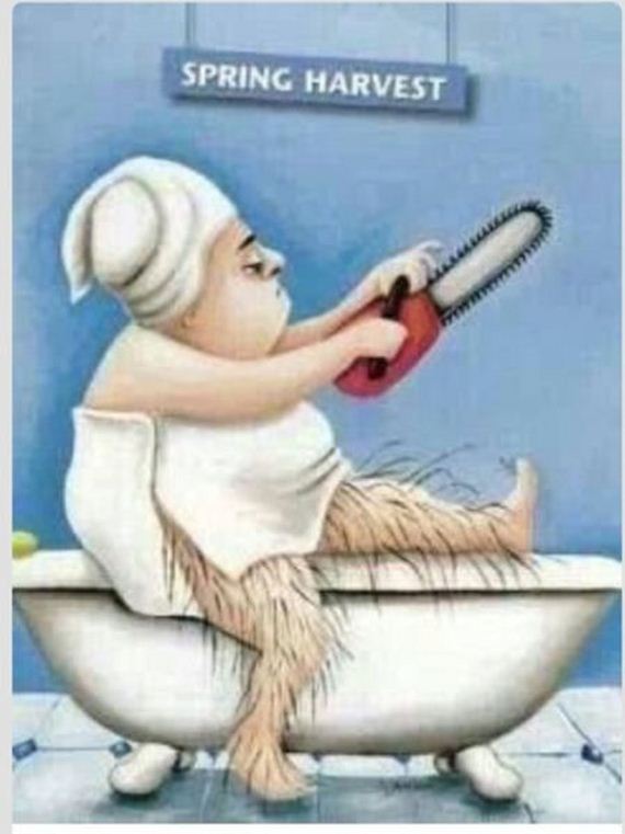 funny-pictures-662