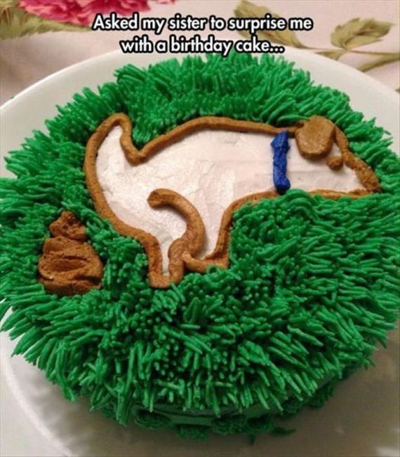 funny-pictures-665